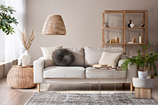 Polsterreinigung Dresden